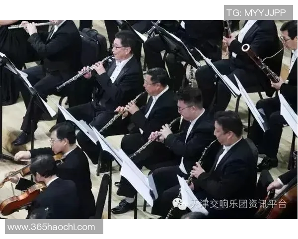 奥地利与俄罗斯足球对决比分分析及精彩回顾