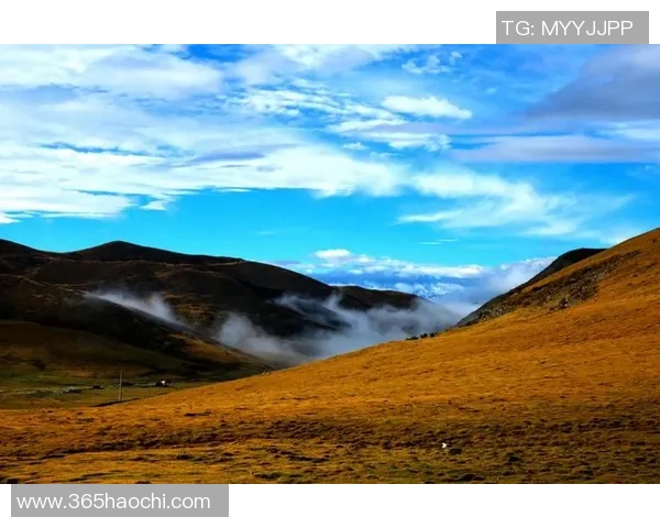 萨林杰的文学世界与人性探索：从孤独到自我救赎的心灵旅程